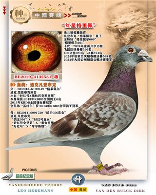 tǸ