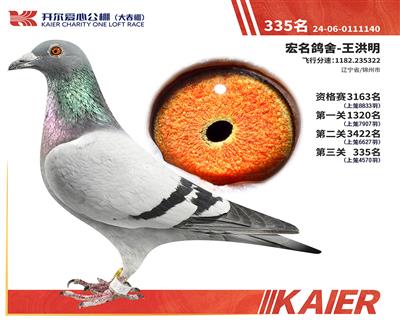_(ki)335