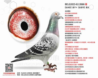 【达米亚】直子×【友谊号】直女