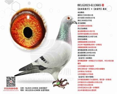 【达米亚直子】×【友谊号】直女