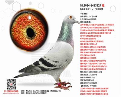 【虎虎生威】×【凤凰号】
