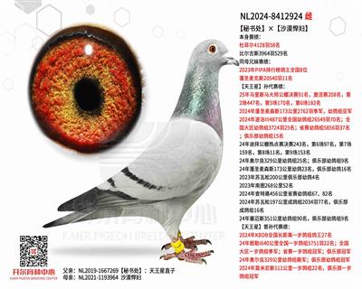 【秘书处】×【沙漠悍妇】