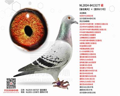 ZL(fng)ī873̖(ho)