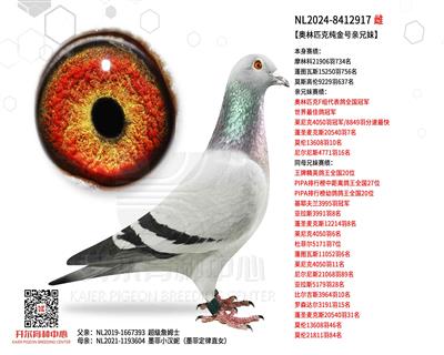 奥林匹克纯金号亲兄妹