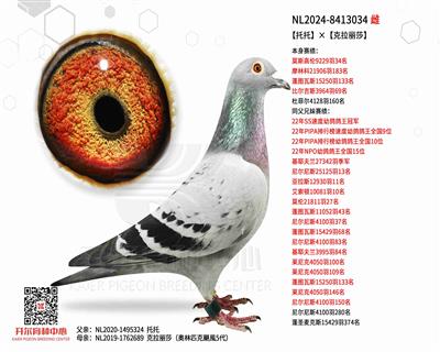 【托托】×【克拉丽莎】
