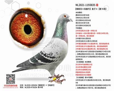 【维斯克×凤凰号】直子×【斯卡莉】