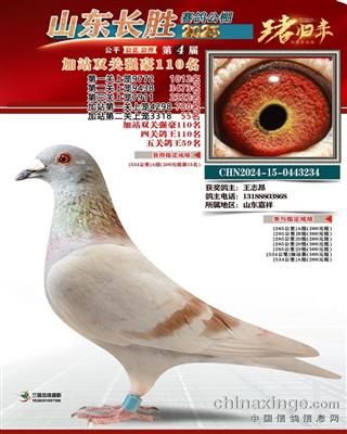 25괺L(zhng)ٹpP(gun)110
