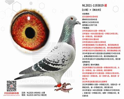 【火球】×【帕比伦】