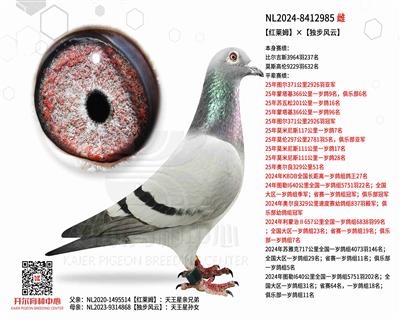 【红莱姆】×【独步风云】