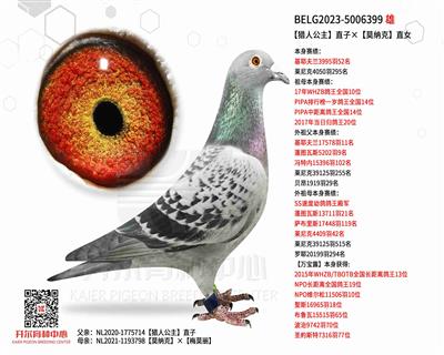【猎人公主】直子×【莫纳克】直女