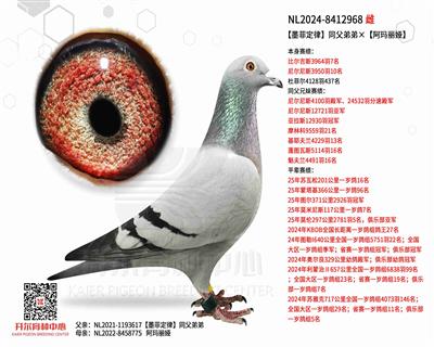 【墨菲定律】同父弟弟×【阿玛丽娅】