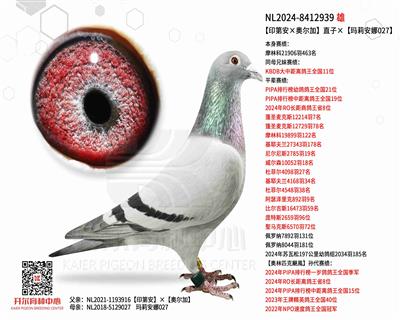 【印第安×奥尔加】直子×玛莉安娜027