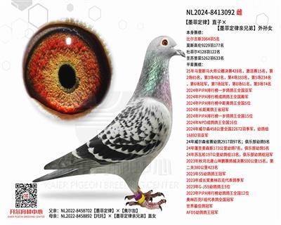 墨菲定律直子×【墨菲定律亲兄弟】外孙女