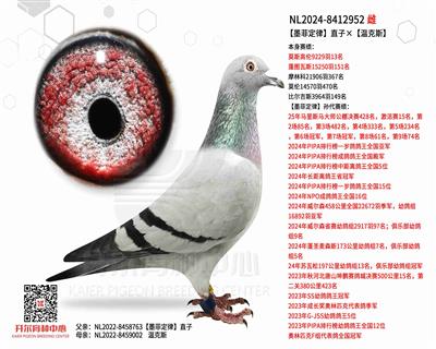 【墨菲定律】直子×【温克斯】