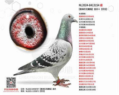 【奥林匹克颶風】直孙×【芬克】