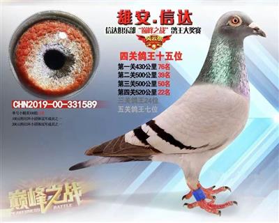 P(gun)7