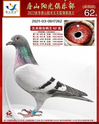 ꖹP(gun)62