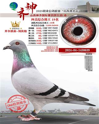 25괺ɽRP(gun)C19