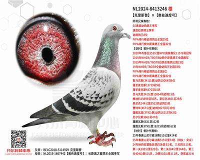 【克里斯普】×【奥佐速度号】