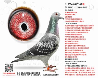 【克里斯普】×【奥佐速度号】