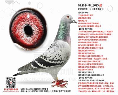 【克里斯普】×【奥佐速度号】