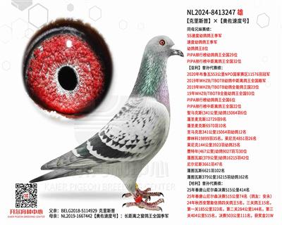 【克里斯普】×【奥佐速度号】