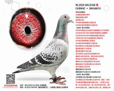 【克里斯普】×【奥佐速度号】