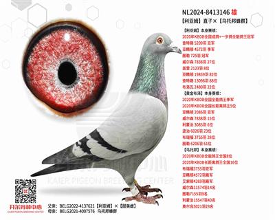 【利亚姆】直子×【乌托邦蜂群】