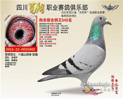 四川蜀翔职业赛鸽俱乐部四关综合鸽王542