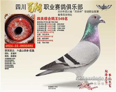 四川蜀翔职业赛鸽俱乐部四关综合鸽王549