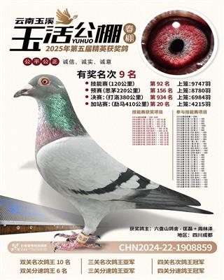 云南玉溪玉活2025年春棚加站赛9名。