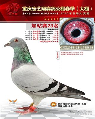 重庆宏艺翔25年春512公里加站赛23名