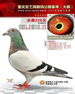 重庆宏艺翔25年春485公里决赛226名