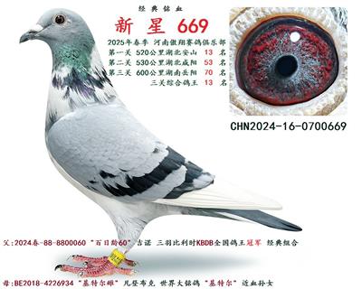 2025괺  P(gun)C 13 