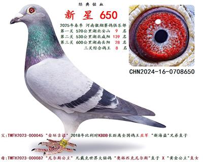 2025괺   P(gun)C 8 