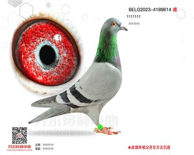 ̹:Wƥ006HֱӡֱOŮ