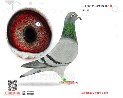 (j)177ֱӡϼֿ˹508