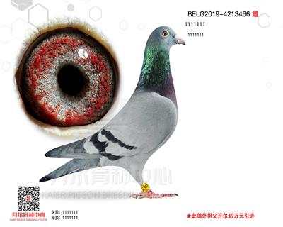 S{˹9924000ֱֱ̖Ů