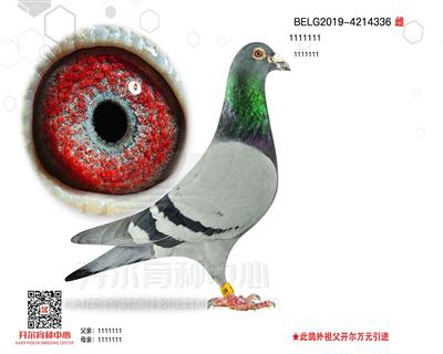 塿ؠO