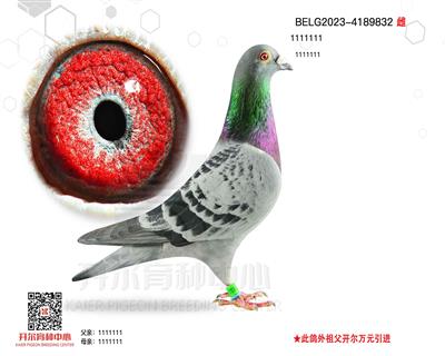 S 832