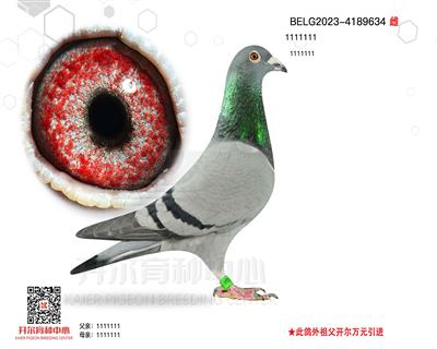 ֱ̹ӡ׼{
