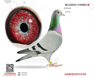 ѩ853Wƥ006OŮ