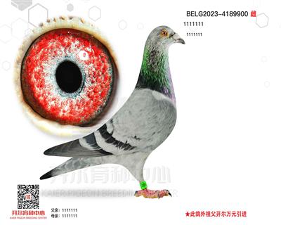 鶷ţȮ900