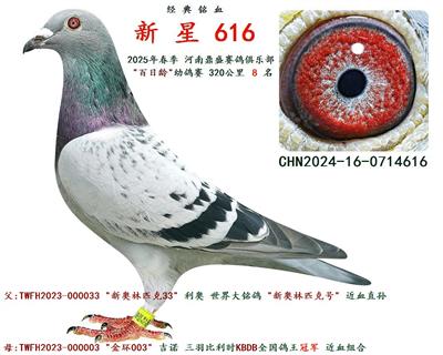 2025괺 gِ  8 