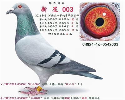 2025괺 P(gun)C 6  