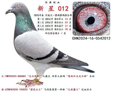2025괺 P(gun)C 7  