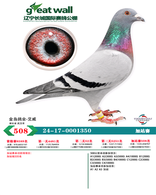 24Lǹվِ508
