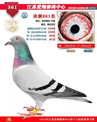 24꽭K蹫Qِ361