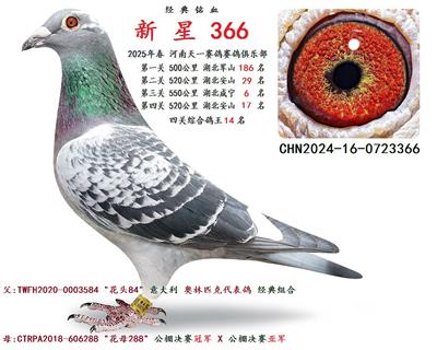 2025괺 P(gun)C 14  