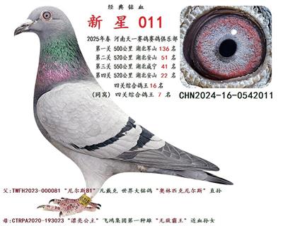 2025괺 P(gun)C 16  